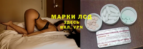 mdpv Богородицк