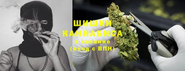 мяу мяу кристалл Богданович