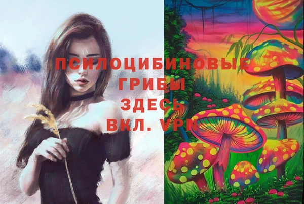 мяу мяу кристалл Богданович
