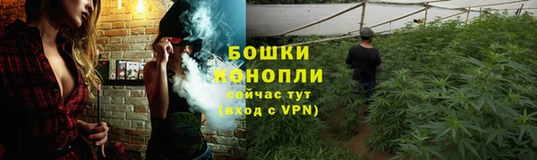 стафф Беломорск