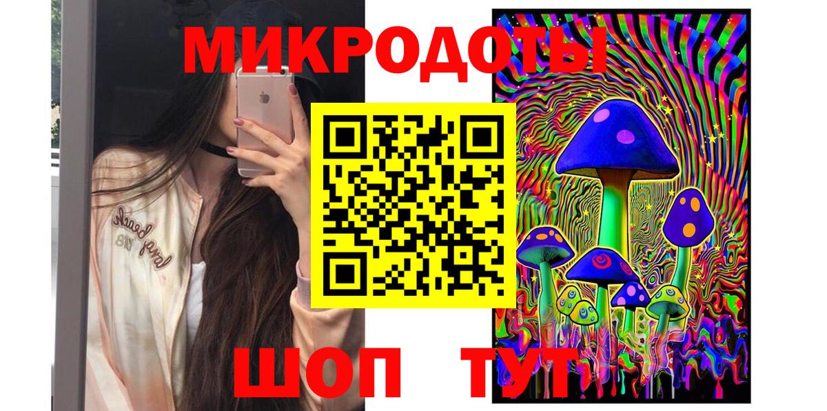 Галлюциногенные грибы Psilocybine cubensis Свободный
